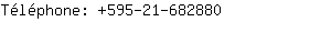 Téléphone: 595-21-68....