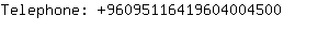 Telephone: 9609511641960400....