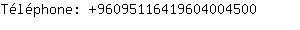 Tlphone: 9609511641960400....