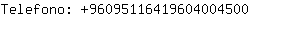 Telefono: 9609511641960400....