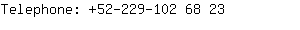 Telephone: 52-229-102 6....