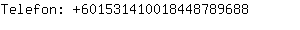 Telefon: 60153141001844878....