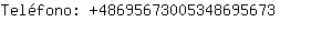 Telfono: 4869567300534869....