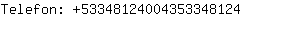 Telefon: 5334812400435334....
