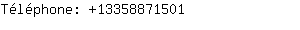 Téléphone: 1335887....