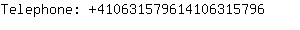 Telephone: 41063157961410631....