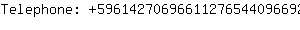 Telephone: 59614270696611276544096692000....