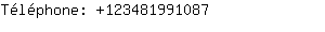 Téléphone: 12348199....