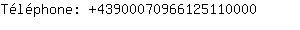 Tlphone: 4390007096612511....