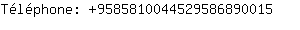 Tlphone: 958581004452958689....