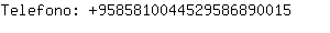 Telefono: 958581004452958689....
