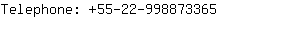 Telephone: 55-22-99887....