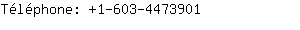 Tlphone: 1-603-447....