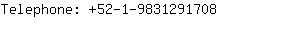 Telephone: 52-1-983129....