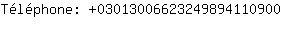 Tlphone: 0301300662324989411....