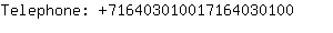 Telephone: 71640301001716403....
