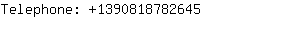 Telephone: 139081878....