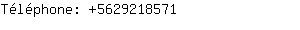 Téléphone: 562921....
