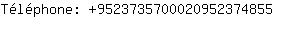 Tlphone: 952373570002095237....