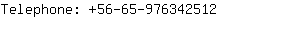 Telephone: 56-65-97634....