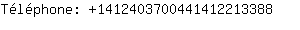 Tlphone: 141240370044141221....