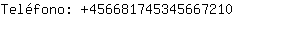 Teléfono: 45668174534566....