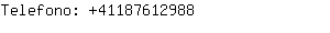 Telefono: 4118761....