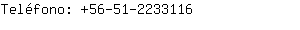 Teléfono: 56-51-223....