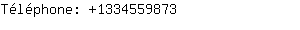 Téléphone: 133455....
