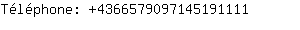 Tlphone: 436657909714519....