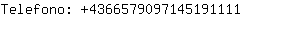 Telefono: 436657909714519....