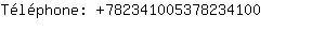 Tlphone: 78234100537823....